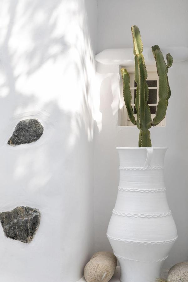 Cassaris Mykonos Villa Drafaki Exteriör bild