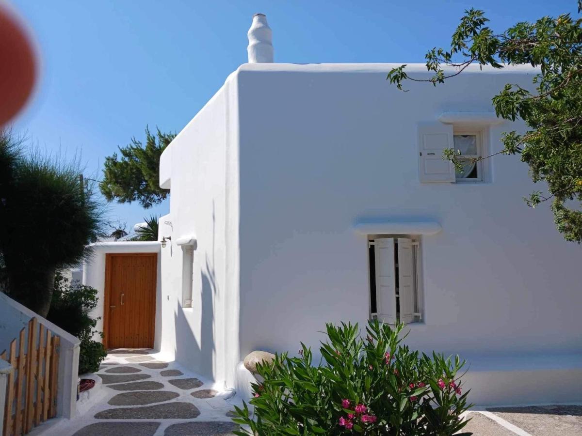 Cassaris Mykonos Villa Drafaki Exteriör bild